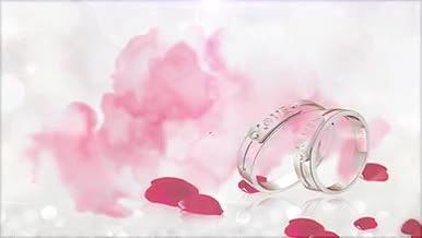 婚庆动态背景视频的预览图